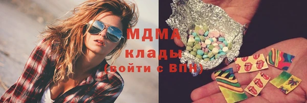 стаф Алексин
