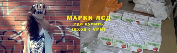стаф Алексин