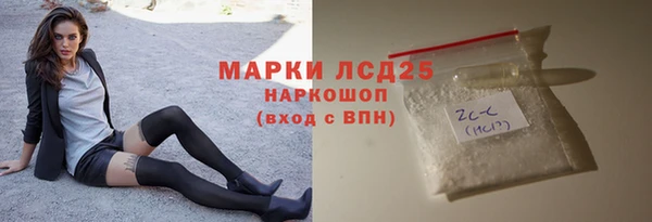 стаф Алексин