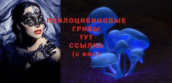 дурь Алзамай